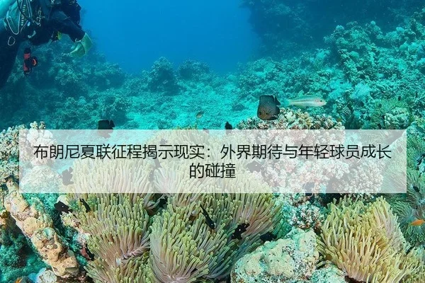 bu-lang-ni-xia-lian-zheng-cheng-jie-shi-xian-shi-wai-jie-qi-dai-yu-nian-qing-qiu-yuan-cheng-zhang-de-peng-zhuang-2-238.jpg